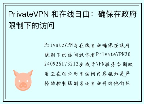 PrivateVPN 和在线自由：确保在政府限制下的访问