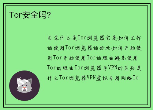 Tor安全吗？